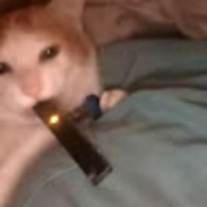 Meet your Posher, Nelson